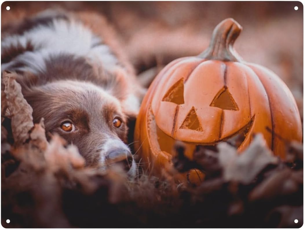 Metal Tin Sign, Halloween Dog  - огляд і ціна Home Bar And Coffee